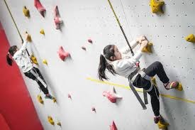 足总杯：索博斯洛伊世界波 利物浦4-1巴恩斯利晋级